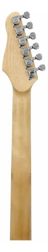 Guitarra Elétrica Giannini G-102 Black Brilhante Com Escudo